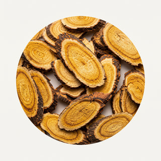 Berberis Root
