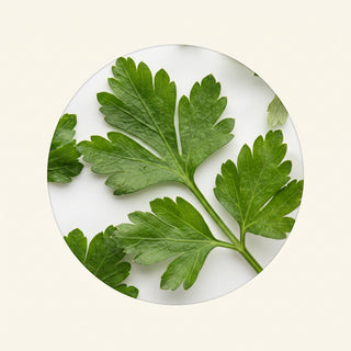 Parsley